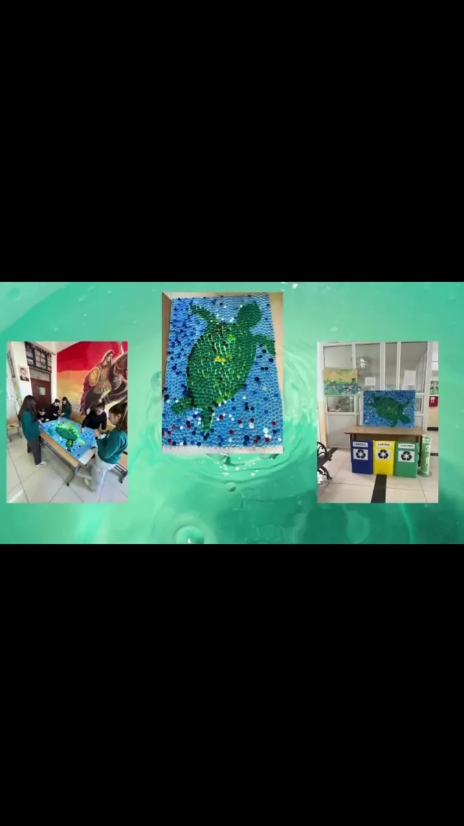 School and community action, from the archived activity video.
