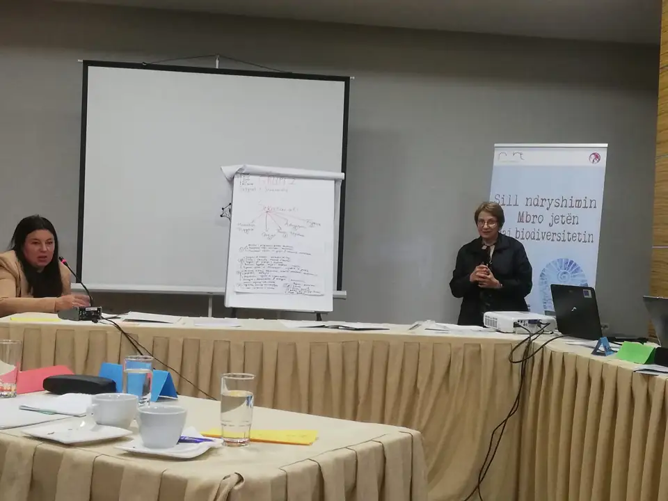 Cross-Border Networking for the Prespa–Ohrid Region — activity photograph